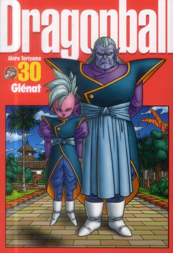 DRAGON BALL PERFECT EDITION - TOME 30